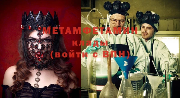 прущие грибы Балабаново