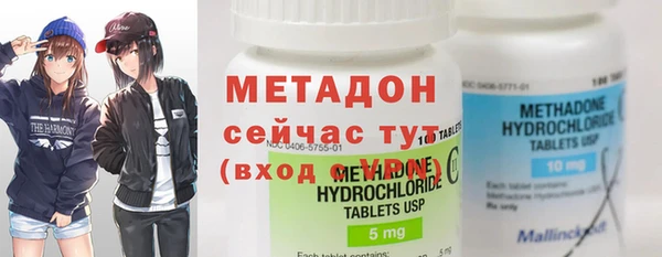 прущие грибы Балабаново