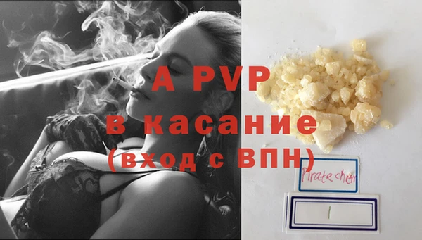 прущие грибы Балабаново