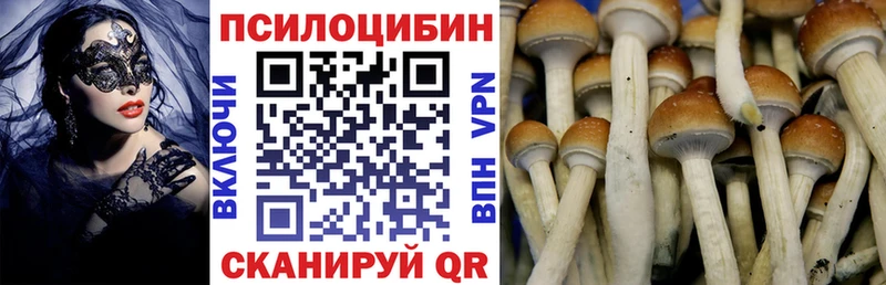 Галлюциногенные грибы MAGIC MUSHROOMS  купить наркотик  Городище 