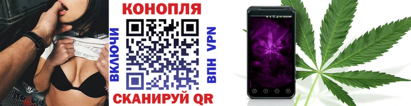 Марихуана OG Kush  маркетплейс клад  Городище  МЕГА ONION 
